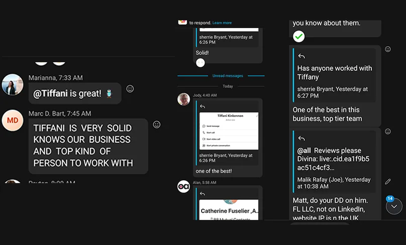 A chat message about The Lead Penguin